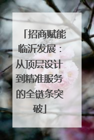 招商赋能临沂发展：从顶层设计到精准服务的全链条突破