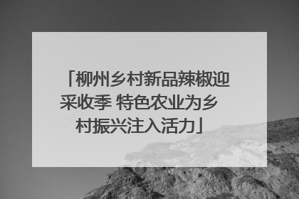 柳州乡村新品辣椒迎采收季 特色农业为乡村振兴注入活力