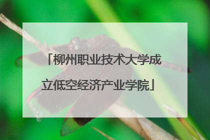 柳州职业技术大学成立低空经济产业学院