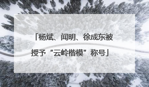 杨斌、闻明、徐成东被授予“云岭楷模”称号