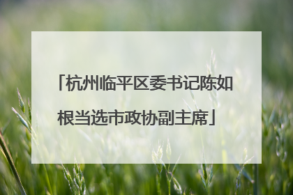 杭州临平区委书记陈如根当选市政协副主席