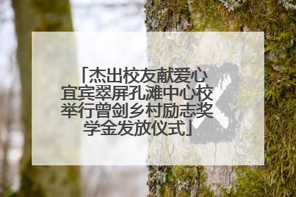 杰出校友献爱心 宜宾翠屏孔滩中心校举行曾剑乡村励志奖学金发放仪式