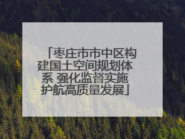 枣庄市市中区构建国土空间规划体系 强化监督实施护航高质量发展