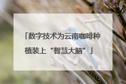 数字技术为云南咖啡种植装上“智慧大脑”