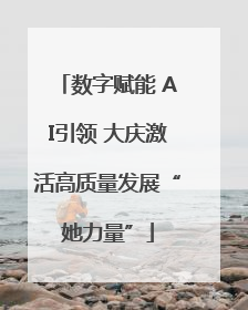 数字赋能 AI引领 大庆激活高质量发展“她力量”