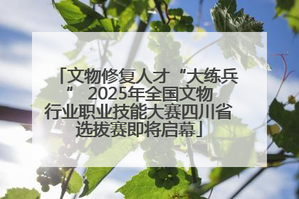 文物修复人才“大练兵” 2025年全国文物行业职业技能大赛四川省选拔赛即将启幕
