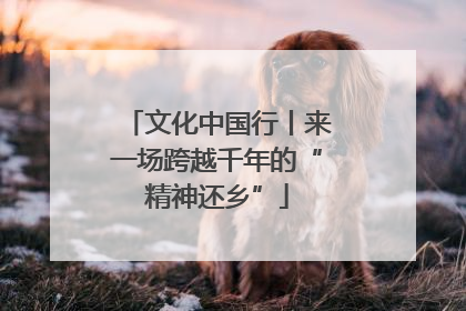 文化中国行丨来一场跨越千年的“精神还乡”