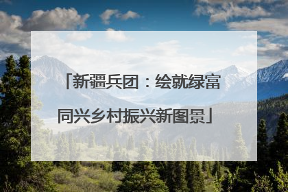 新疆兵团：绘就绿富同兴乡村振兴新图景