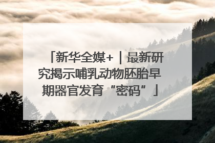 新华全媒+｜最新研究揭示哺乳动物胚胎早期器官发育“密码”