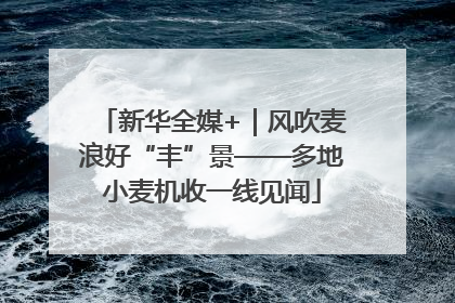 新华全媒+｜风吹麦浪好“丰”景——多地小麦机收一线见闻