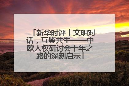 新华时评丨文明对话，互鉴共生——中欧人权研讨会十年之路的深刻启示
