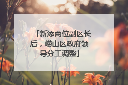 新添两位副区长后，崂山区政府领导分工调整