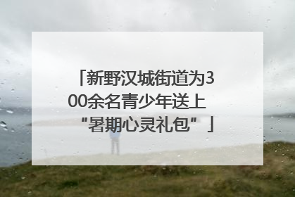 新野汉城街道为300余名青少年送上“暑期心灵礼包”