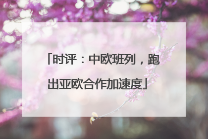 时评：中欧班列，跑出亚欧合作加速度