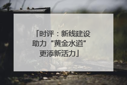 时评：新线建设助力“黄金水道”更添新活力