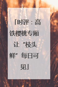 时评：高铁樱桃专厢 让“枝头鲜”每日可见