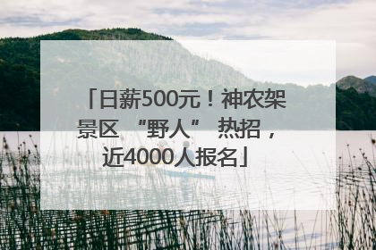 日薪500元！神农架景区 “野人” 热招，近4000人报名