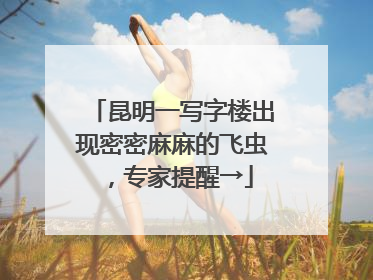 昆明一写字楼出现密密麻麻的飞虫，专家提醒→