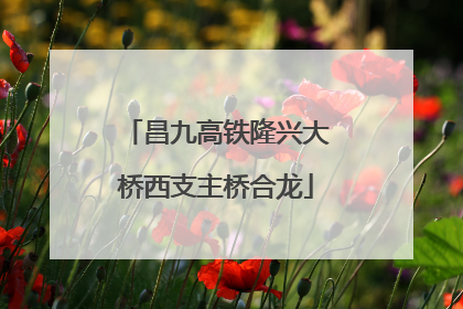 昌九高铁隆兴大桥西支主桥合龙