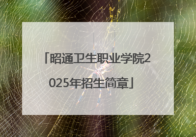 昭通卫生职业学院2025年招生简章