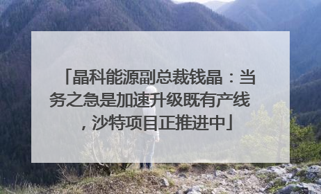 晶科能源副总裁钱晶：当务之急是加速升级既有产线，沙特项目正推进中