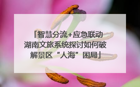 智慧分流+应急联动 湖南文旅系统探讨如何破解景区“人海”困局