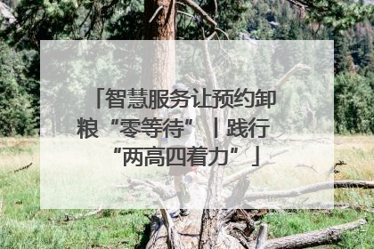 智慧服务让预约卸粮“零等待”丨践行“两高四着力”