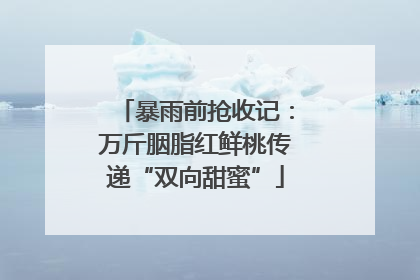 暴雨前抢收记：万斤胭脂红鲜桃传递“双向甜蜜”