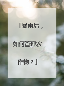 暴雨后，如何管理农作物？