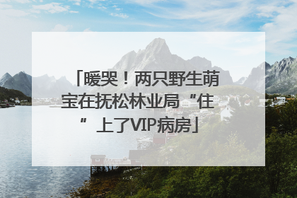 暖哭！两只野生萌宝在抚松林业局“住”上了VIP病房