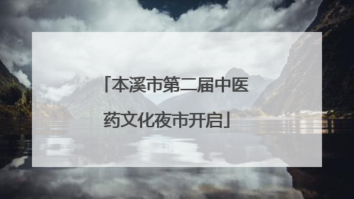本溪市第二届中医药文化夜市开启