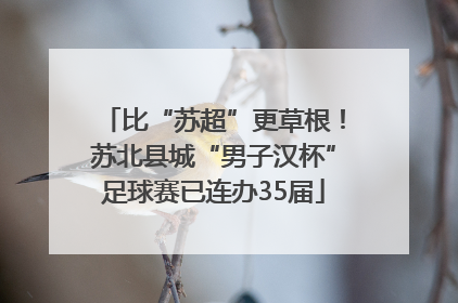 比“苏超”更草根！苏北县城“男子汉杯”足球赛已连办35届