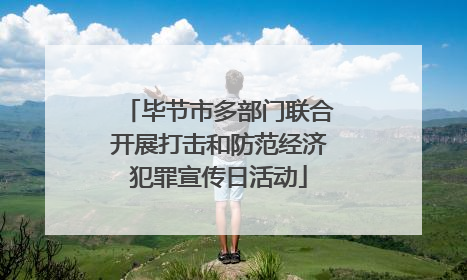 毕节市多部门联合开展打击和防范经济犯罪宣传日活动
