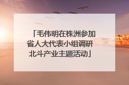 毛伟明在株洲参加省人大代表小组调研北斗产业主题活动