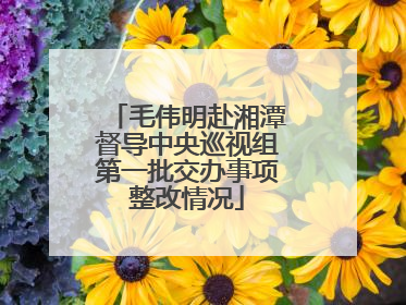 毛伟明赴湘潭督导中央巡视组第一批交办事项整改情况