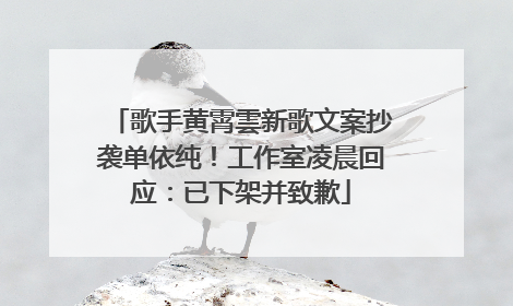 歌手黄霄雲新歌文案抄袭单依纯！工作室凌晨回应：已下架并致歉
