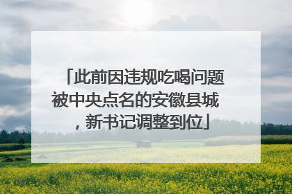 此前因违规吃喝问题被中央点名的安徽县城，新书记调整到位