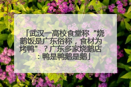 武汉一高校食堂称“烧鹅饭是广东俗称，食材为烤鸭”？广东多家烧鹅店：鸭是鸭鹅是鹅