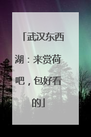 武汉东西湖：来赏荷吧，包好看的