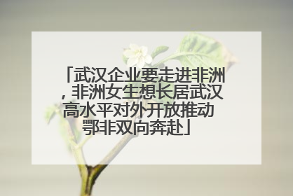武汉企业要走进非洲，非洲女生想长居武汉 高水平对外开放推动鄂非双向奔赴
