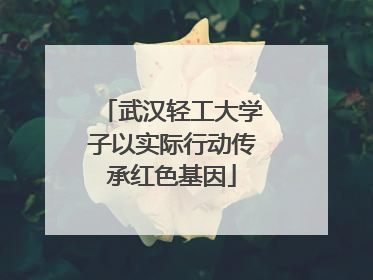 武汉轻工大学子以实际行动传承红色基因