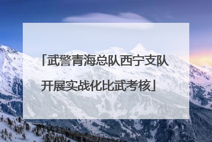 武警青海总队西宁支队开展实战化比武考核