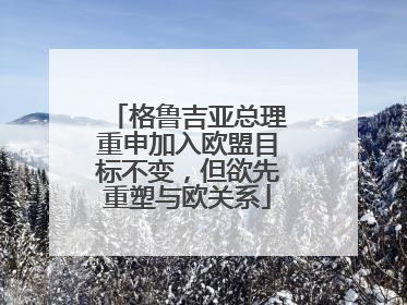 格鲁吉亚总理重申加入欧盟目标不变，但欲先重塑与欧关系