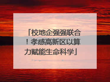 校地企强强联合！孝感高新区以算力赋能生命科学