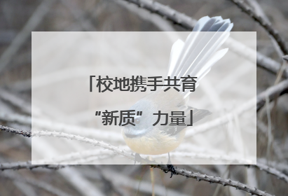 校地携手共育“新质”力量