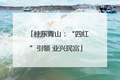 桂东青山：“四红”引领 业兴民富
