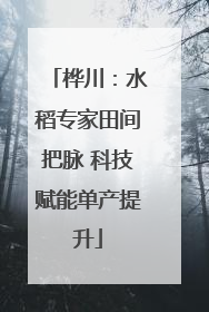 桦川：水稻专家田间把脉 科技赋能单产提升