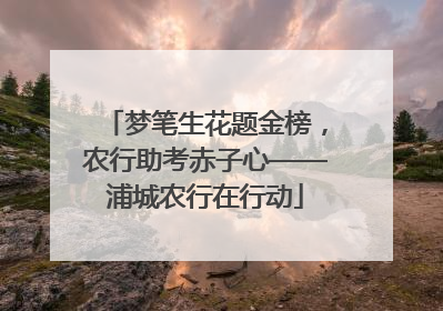 梦笔生花题金榜，农行助考赤子心——浦城农行在行动