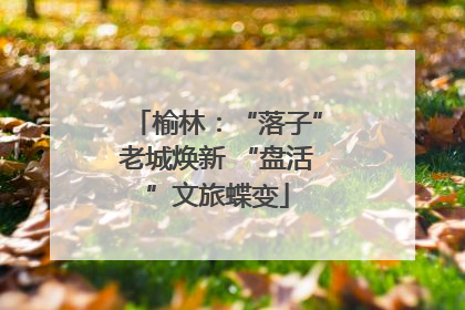 榆林：“落子”老城焕新 “盘活”文旅蝶变