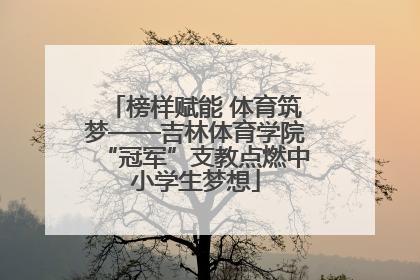 榜样赋能 体育筑梦——吉林体育学院“冠军”支教点燃中小学生梦想
